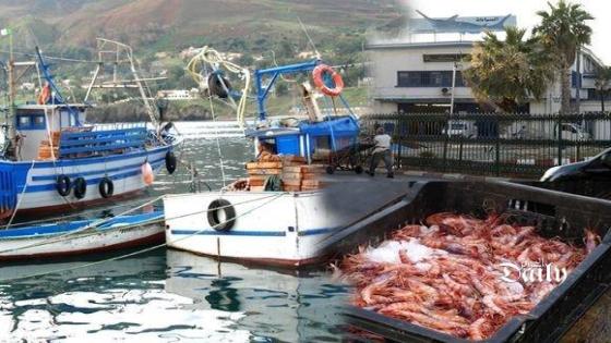 تحديد معالم مخطط تهيئة وتسيير مصائد الأسماك الجزائرية