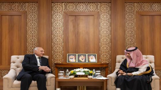 وزير الخارجية أحمد عطاف يلتقي نظيره السعودي على هامش أشغال الدورة الاستثنائية للتعاون الإسلامي