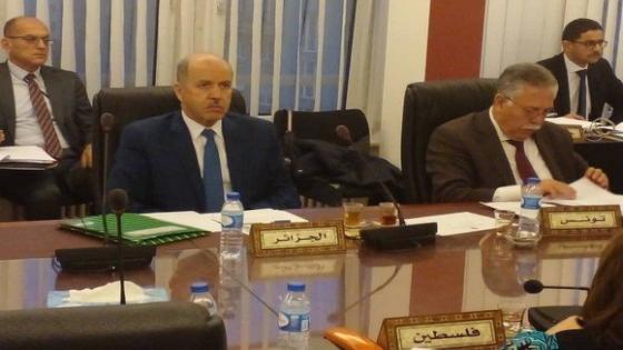 وزير الصحة يشارك في أشغال المكتب التنفيذي لمجلس وزراء الصحة العرب بجنيف
