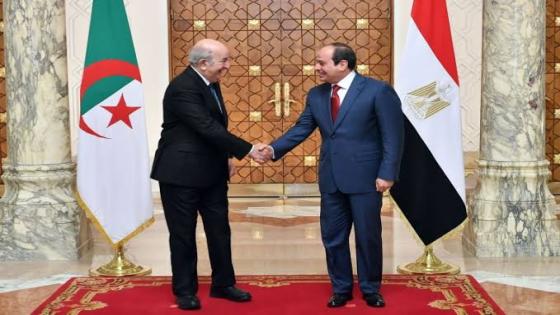 سفير الجزائر بمصر يلتقي وزيرة التعاون الدولي المصرية رانيا المشاط.