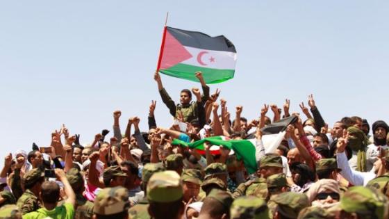 الأمم المتحدة تثمن تضامن الجزائر مع اللاجئين الصحراويين