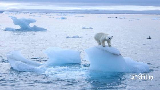 علماء يحذرون من أن ذوبان القطب الشمالي أسرع مما هو متوقع