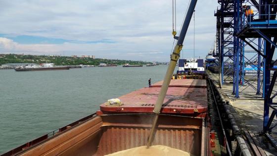 شحن 622 ألف طن من الحبوب الأوكرانية إلى العالم بعد توقيع اتفاق تركيا