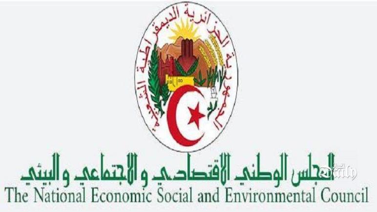 صدور مرسوم يتضمن تشكيلة المجلس الوطني الاقتصادي والاجتماعي والبيئي وسيره