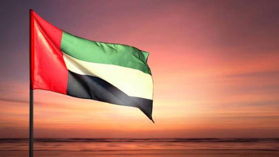 الإمارات تعزي الجزائر في ضحايا الحرائق.