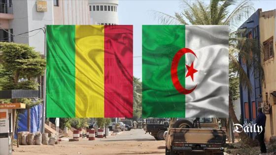 رئيس اللجنة المكلفة بنزع السلاح في مالي يشيد بدور الجزائر