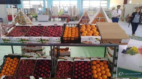 قريبا… أول سوق للمنتجات الجزائرية في مدينة مصراتة الليبية