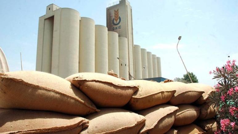 الجزائر تشتري 105 آلاف طن من القمح الروسي في مناقصة