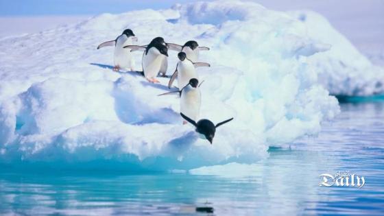 جزيرة أنتاركتيكا تسجل أعلى معدلات حرارة منذ 3 عقود