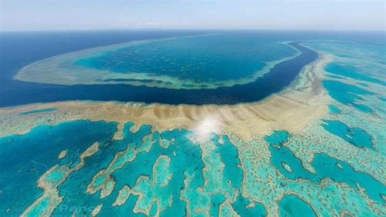 تقرير أممي يوصي بتصنيف الحاجز المرجاني العظيم كموقع تراث عالمي معرض للخطر