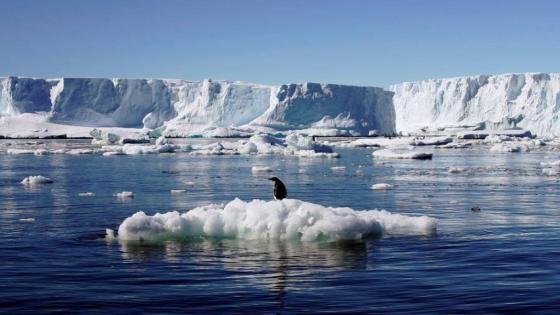 ذوبان جليد المحيط المتجمد الشمالي بفعل الاحترار يسبب تساقط المزيد من الثلوج