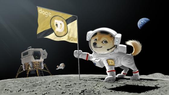 ‏”سبايس إكس” تطلق مهمة قمرية مدفوعة بواسطة عملة “دوج كوين” المشفرة