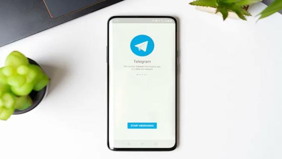 “تليغرام” يضيف مكالمات الفيديو الجماعية… والبداية 30 شخصا