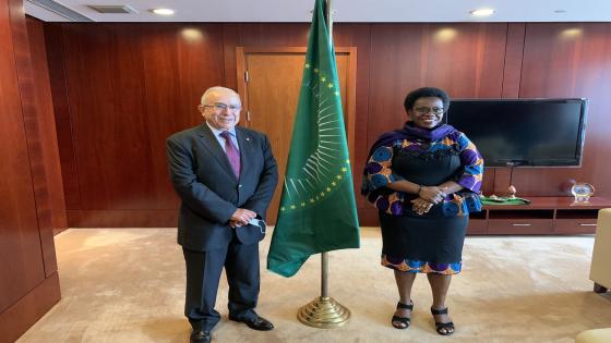 وزير الخارجية يجري محادثات مع نائبة رئيس مفوضية الإتحاد الإفريقي