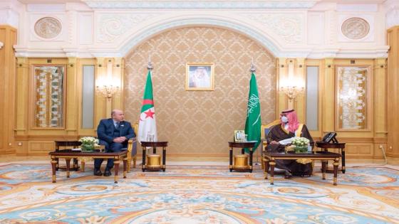 الوزير الأول أيمن بن عبد الرحمان يستعرض مع ولي العهد السعودي المبادرات البيئية التي أطلقتها المملكة.