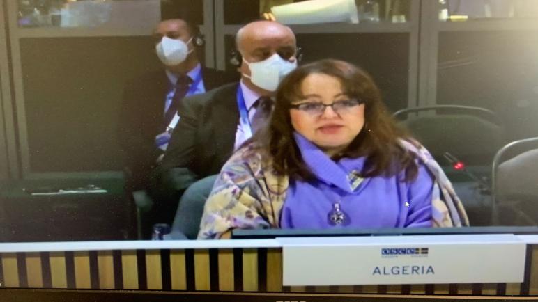 الجزائر تشارك في الدورة الثامنة والعشرين للمجلس الوزاري لمنظمة الأمن والتعاون في أوروبا.