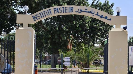 معهد باستور الجزائر: دخول حيز الخدمة قريبا لمخبر مختص في الاستعجالات الفيروسية