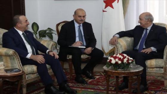 وزير الخارجية التركي: تركيا والجزائر على خط واحد بالنسبة لفلسطين.