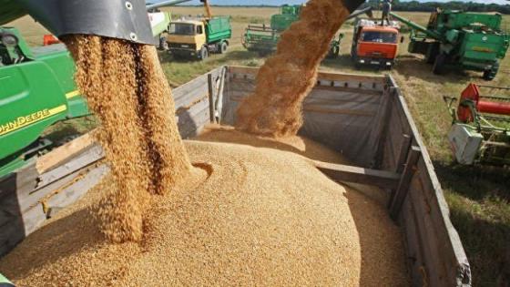 ‏روسيا تعتزم تصدير الغذاء والمحاصيل إلى الدول الصديقة فقط