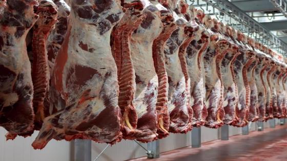 ‏‎الجزائرية للحوم الحمراء تعتزم تسويق ما يقارب 390 طنا من ‎اللحوم الحمراء