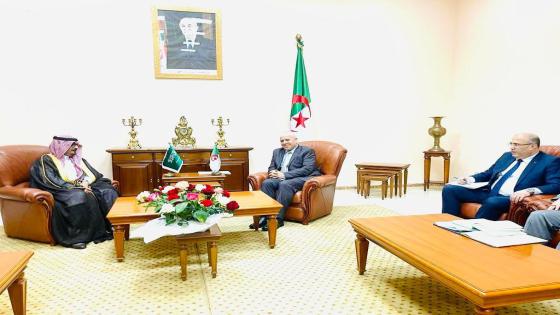 وزير العمل يبحث سبل تعزيز العلاقات مع السفير السعودي بالجزائر