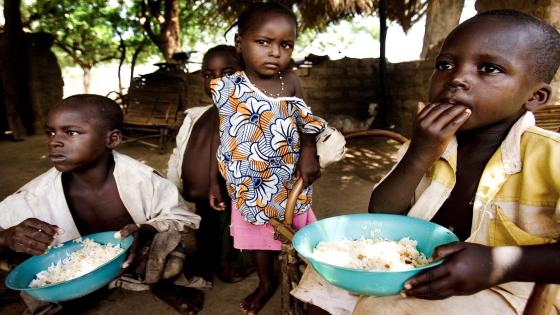 تمويل من البنك الافريقي للتنمية بقيمة 1.5مليار دولار لتجنب أزمة الغذاء في إفريقيا