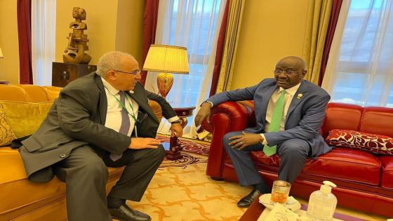 وزير الخارجية يجري مشاورات مع عدد من الرؤساء الأفارقة في ملابو