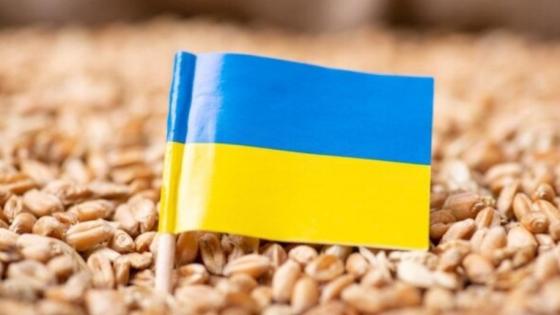 ‏بعد توقيع اتفاق تأمين تصدير الحبوب بين ‎روسيا و ‎أوكرانيا برعاية أممية.. ‎زيلينسكي يكشف حجم المخزون الأوكراني من الحبوب