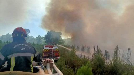 إجلاء نحو 10 آلاف شخص بسبب حرائق الغابات في فرنسا