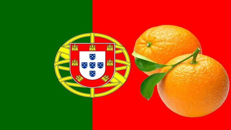 البرتغال : توزيع البرتقال مجانا بسبب قلة المشترين