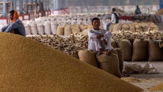 أكبر مصدر له …الهند تقيد صادرات الأرز بعد ارتفاع الأسعار