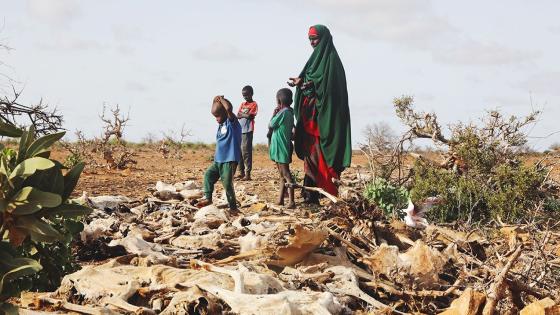 اليونيسف : أكثر من نصف مليون طفل صومالي يواجهون خطر سوء التغذية