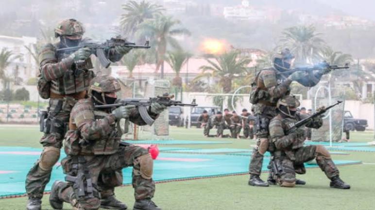 الجيش الجزائري يحتل المركز 13 عالميا والأول عربيا وإفريقيا حسب تصنيف Military Watch.