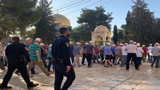 مئات المستوطنين يقتحمون المسجد الأقصى بحماية قوات الاحتلال الصهيوني