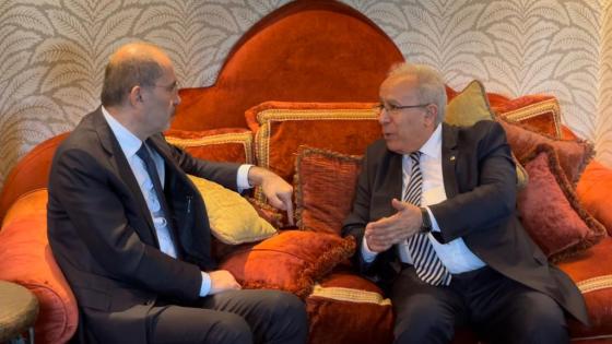 وزير الخارجية الأردني يشرع في زيارة إلى الجزائر