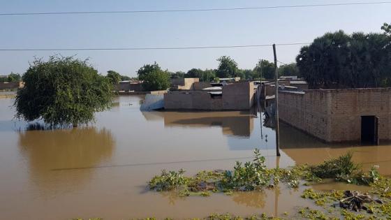 التشاد :اعلان “حالة الطوارئ” لمواجهة الفيضانات
