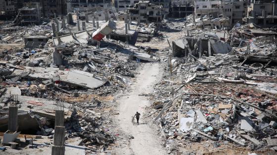 “الفاو” تحذر من التدهور السريع لحالة الأمن الغذائي في غزة