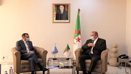 تعزيز التعاون بين الجزائر وهيئات الأمم المتحدة في المجال الصناعي