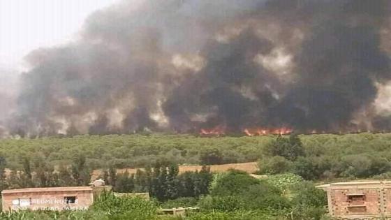 وفاة شخص في حريق بغابة في مستغانم