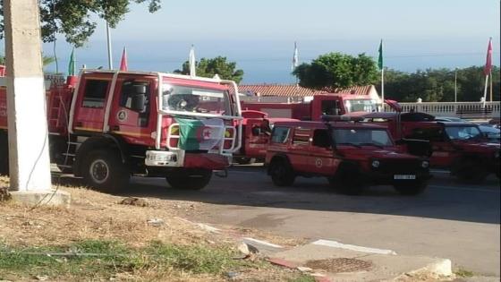 الحماية المدنية تعلن إخماد كل الحرائق بجبلي بوقرنين وسدراية بتونس