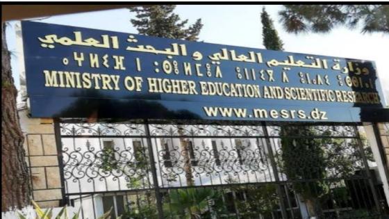 وزارة التعليم العالي تعلن اليوم عن نتائج المرحلة الثانية من التوجيه