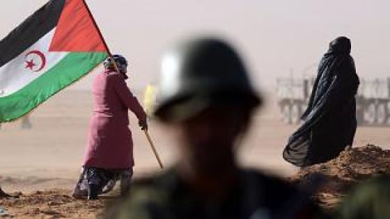 فرنسا متهمة بدعم الاحتلال المغربي في الأراضي الصحراوية المحتلة.