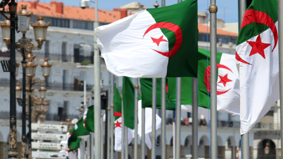 بالرغم من “الفيتو” الأمريكي.. عزيمة الجزائر لن تكل حتى يتحمل مجلس الأمن مسؤولياته بوقف محنة الفلسطينيين