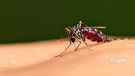 تحقيق وبائي لتحديد مصدر ظهور الملاريا