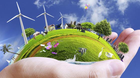 وزارة البيئة تنظم عدة نشاطات توعوية وإعلامية عبر الوطن بمناسبة اليوم العالمي للبيئة