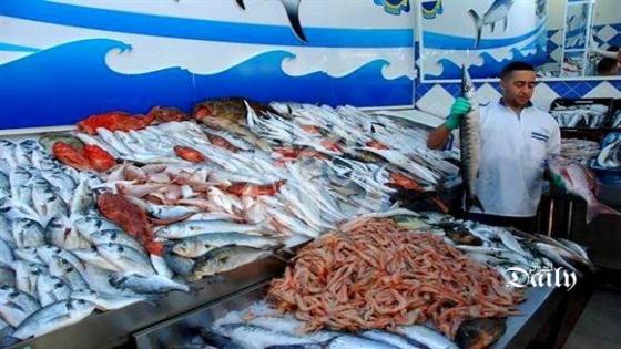 فروخي: نحرص على ضبط أسواق منتوجات الصيد البحري وضمان استقرارها