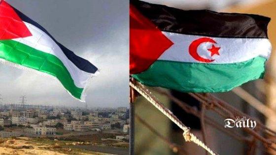 في اليوم العالمي للسلام: تأكيد على ضرورة تصفية الاحتلال في فلسطين و الصحراء الغربية