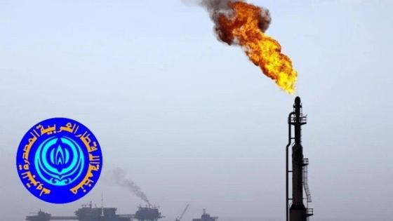 منظمة أوابك تؤكد حرص الدول العربية على توفير إمدادات الغاز رغم الأزمة الروسية الأوكرانية
