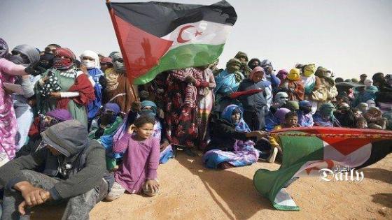 المجلس الوطني الصحراوي يطالب بالضغط على المغرب