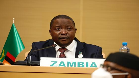 استقالة وزير خارجية دولة زامبيا على خلفية تعاملات تجارية مع رجل أعمال صيني
